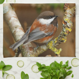 Cute Chestnut-Backed Chickadee på Pear Träd Kökshandduk