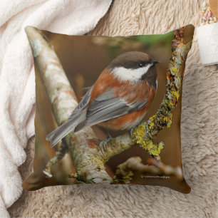 Cute Chestnut-Backed Chickadee på Pear Träd Kudde