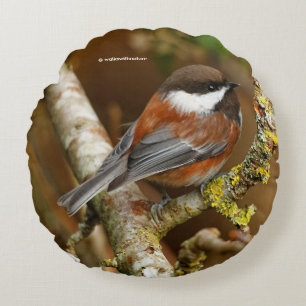 Cute Chestnut-Backed Chickadee på Pear Träd Rund Kudde