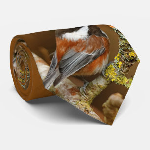Cute Chestnut-Backed Chickadee på Pear Träd Slips