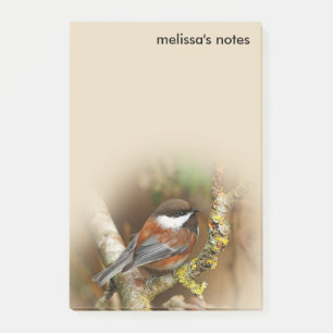Cute Chestnut-Backed Chickadee Songbird i Träd Post-it Block