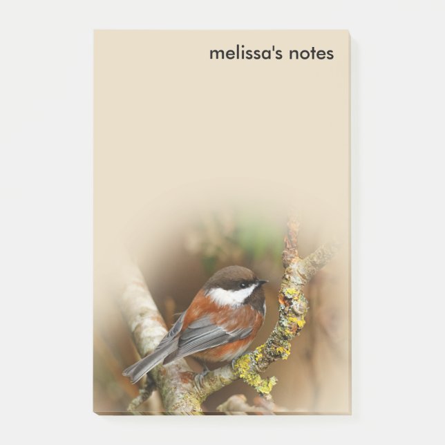 Cute Chestnut-Backed Chickadee Songbird i Träd Post-it Block (Framsida)