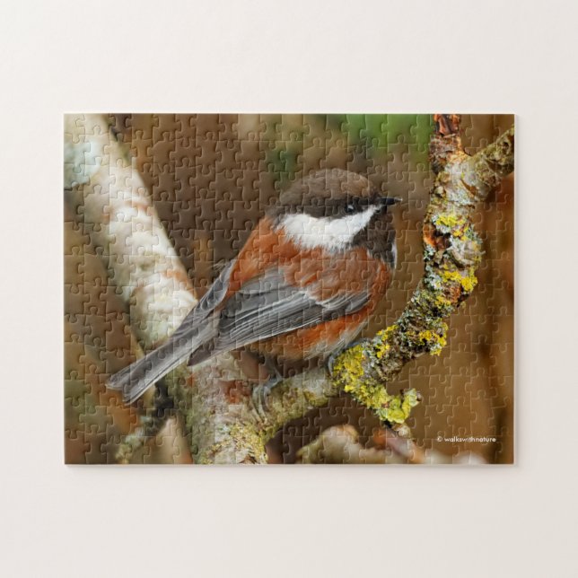 Cute Chestnut-Backed Chickadee Songbird Pussel (Horisontell)