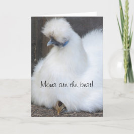 Cute chick "Mammor är det bästa Mors dag-kortet" Kort