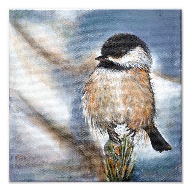 Cute Chickadee Bird Adsible Black Caps Fototryck (Framsidan)