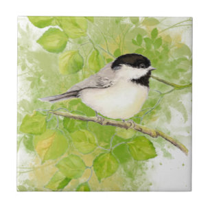 Cute Chickadee Bird i Poplar Träd Kakelplatta