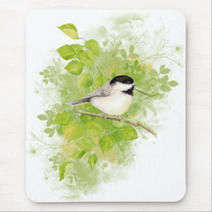 Cute Chickadee Bird i Poplar Träd Musmatta