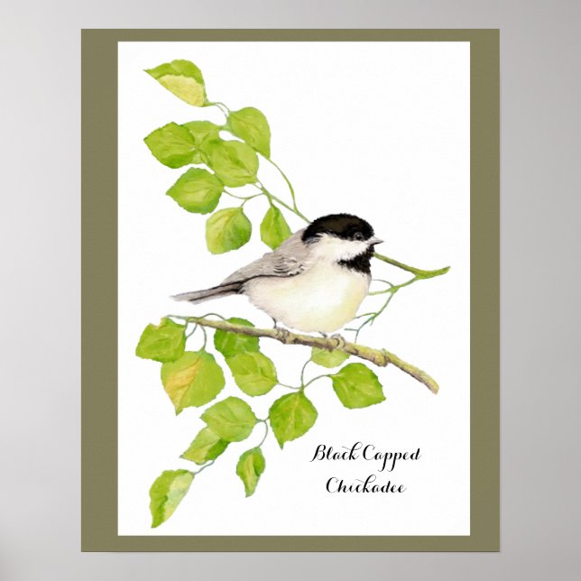 Cute Chickadee Bird i Poplar Träd Sweet-vänlig Poster (Framsidan)