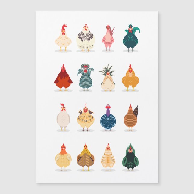  Cute Chicken (Framsida)