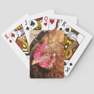 CUTE CHICKEN CASINOKORT