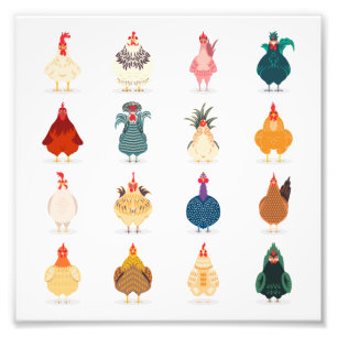 Cute Chicken Fototryck