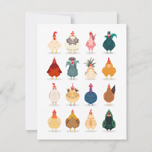 Cute Chicken Julkort