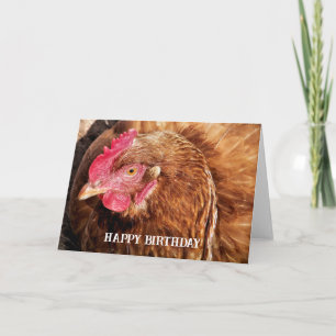 CUTE CHICKEN KORT