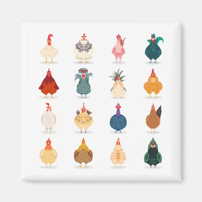 Cute Chicken Magnet (Framsidan)
