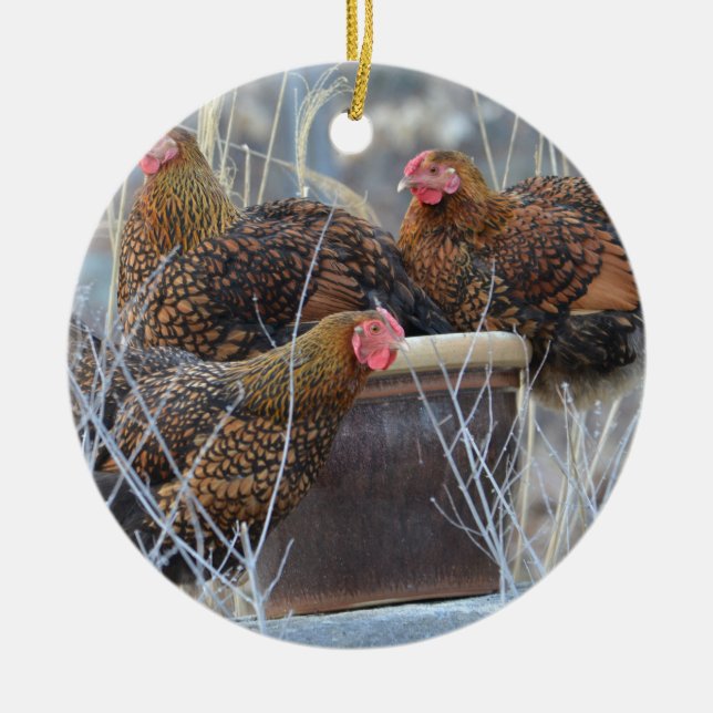 Cute Chicken Ornament (Framsidan)