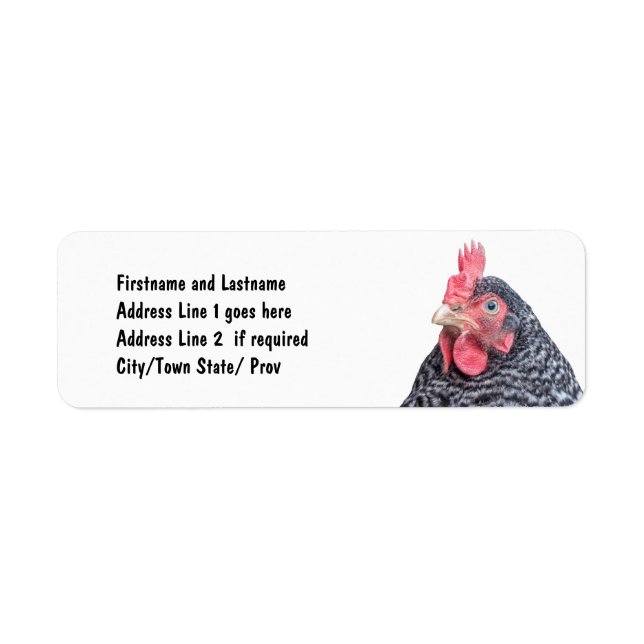Cute Chicken Photo Customized Adress Returadress Etikett (Framsidan)