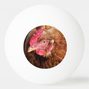 CUTE CHICKEN PINGISBOLL
