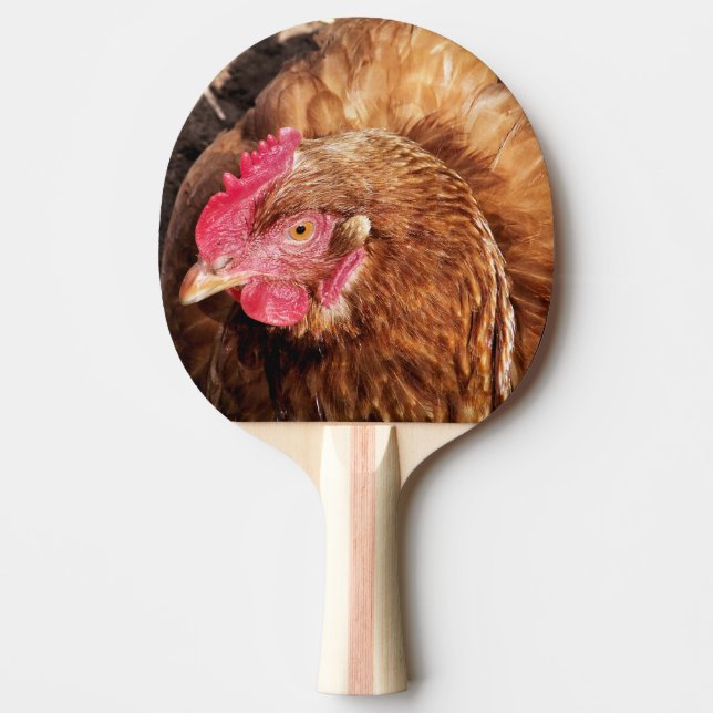 CUTE CHICKEN PINGISRACKET (Framsidan)