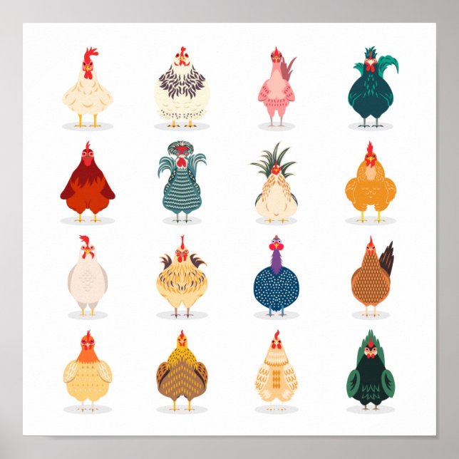 Cute Chicken Poster (Framsidan)