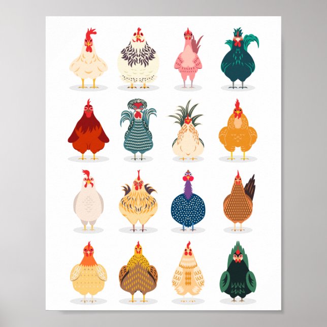 Cute Chicken Poster (Framsidan)
