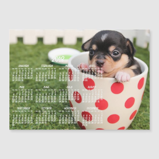 Cute Chihuahua Calendar 2018 Magnetic Card 5x7 (Framsida)