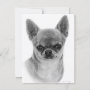 Cute Chihuahua Head Study Hand Painting Artwork Vykort