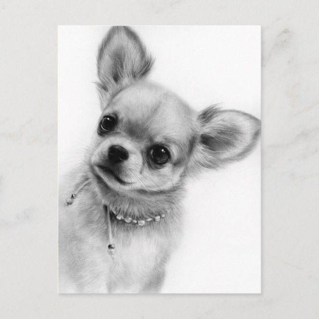 Cute Chihuahua Head Tilt Hand Pawarated Artwork Vykort (Framsida)