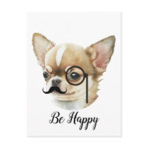 Cute Chihuahua Hund älskare