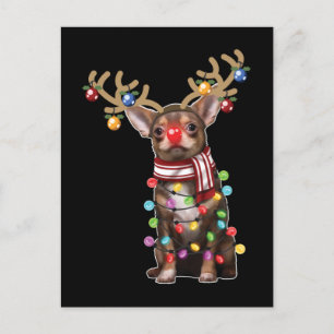 Cute Chihuahua Hund - Helgdag från julklapp Vykort