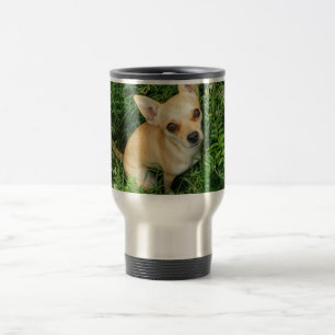 Cute Chihuahua in Grass Meadow Resemugg
