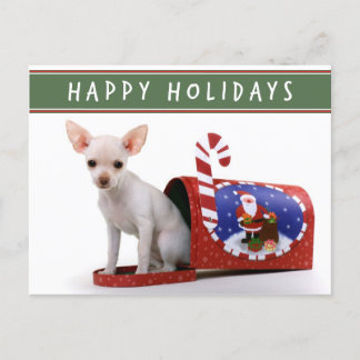 Cute Chihuahua julkort Helg Vykort