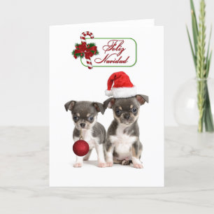 Cute Chihuahua Julvalpar Helgkort