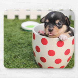 Cute Chihuahua Mouse Pad Lägg till bild Musmatta
