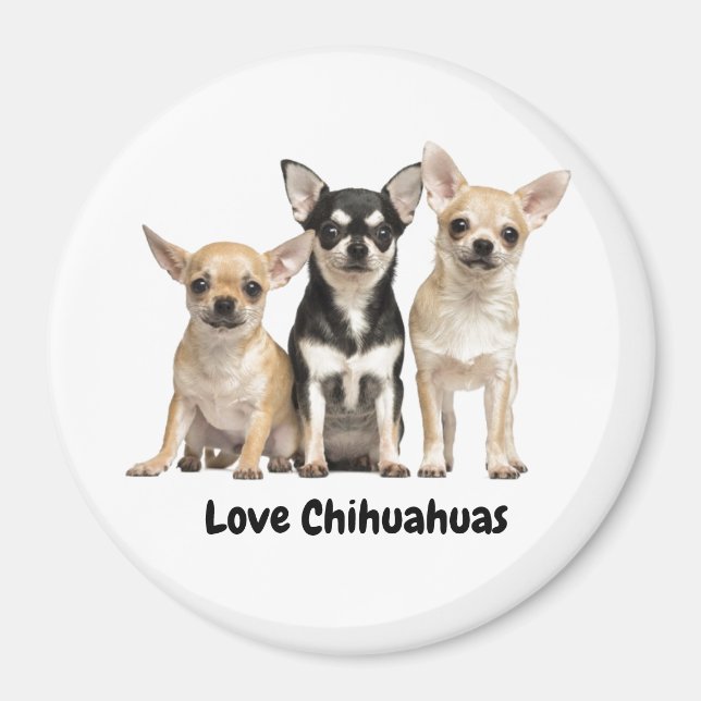 Cute Chihuahua Puppies Magnet (Framsidan)