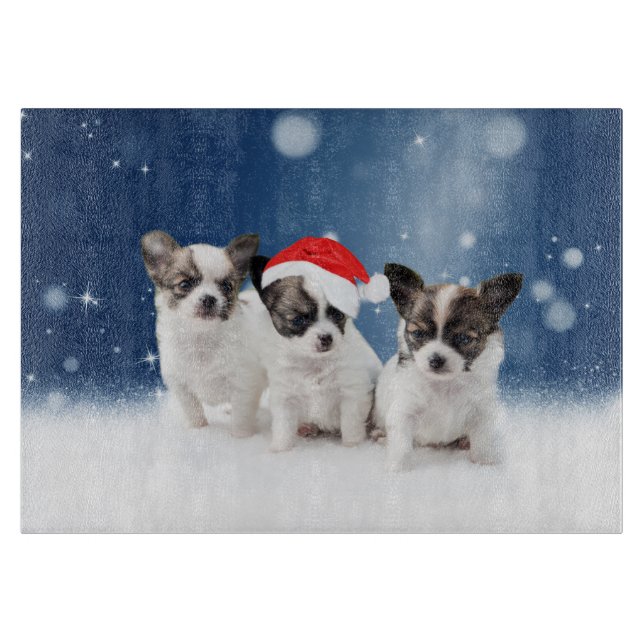 Cute Chihuahua Puppies med jultomten jul (Framsidan)