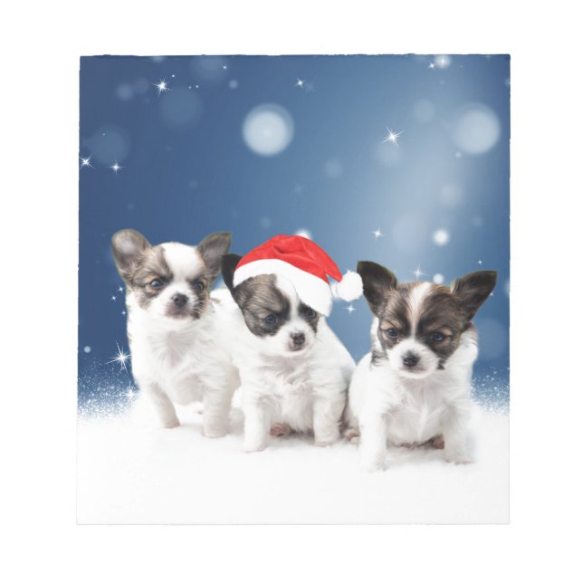 Cute Chihuahua Puppies med jultomten jul Anteckningsblock (Framsida)