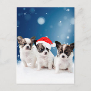 Cute Chihuahua Puppies med jultomten jul Helg Vykort