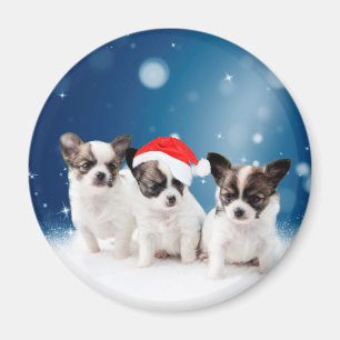Cute Chihuahua Puppies med jultomten jul Magnet