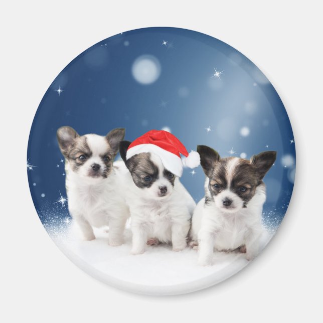 Cute Chihuahua Puppies med jultomten jul Magnet (Framsidan)