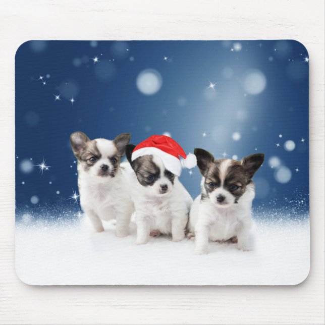 Cute Chihuahua Puppies med jultomten jul Musmatta (Framsidan)