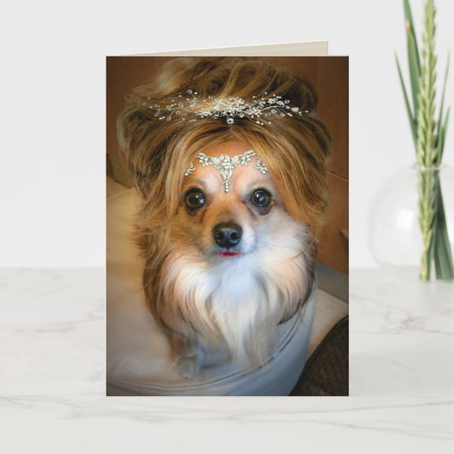 Cute Chihuahua som bär ett Wide Birthday Card Kort (Framsida)