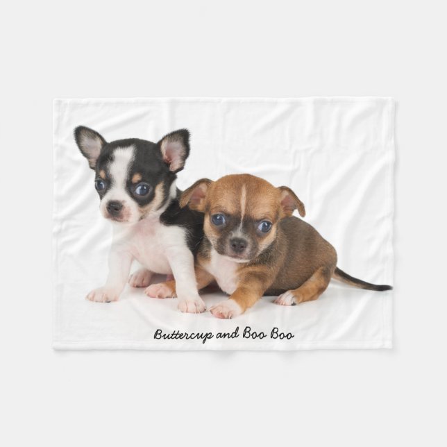 Cute Chihuahuas Photo Fleece Blanket (Framsidan (Horisontell))