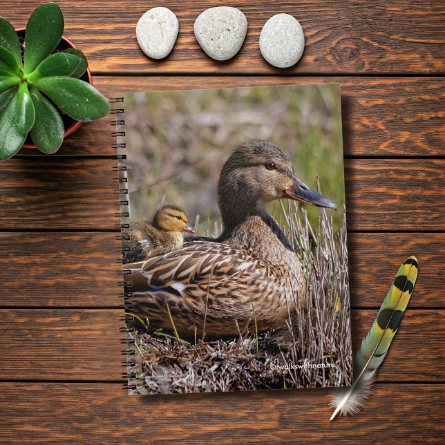 Cute Chillin'Mallard Mamma Anka & Baby Duckling Anteckningsbok Med Spiral (Chillin' Mallard Mom and Baby Journal Cover Photo)