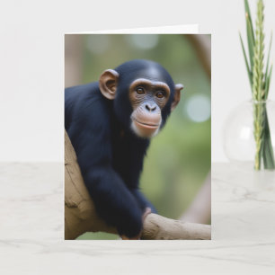 Cute Chimp Birthday Kort