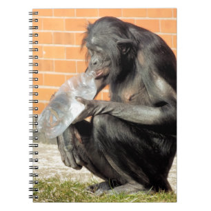 CUTE CHIMPANZEE ANTECKNINGSBOK