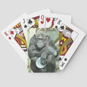 CUTE CHIMPANZEE CASINOKORT