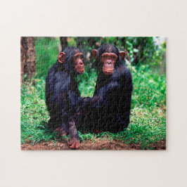 Cute Chimpanzee Syskon, Jigszawa Puzzle Pussel