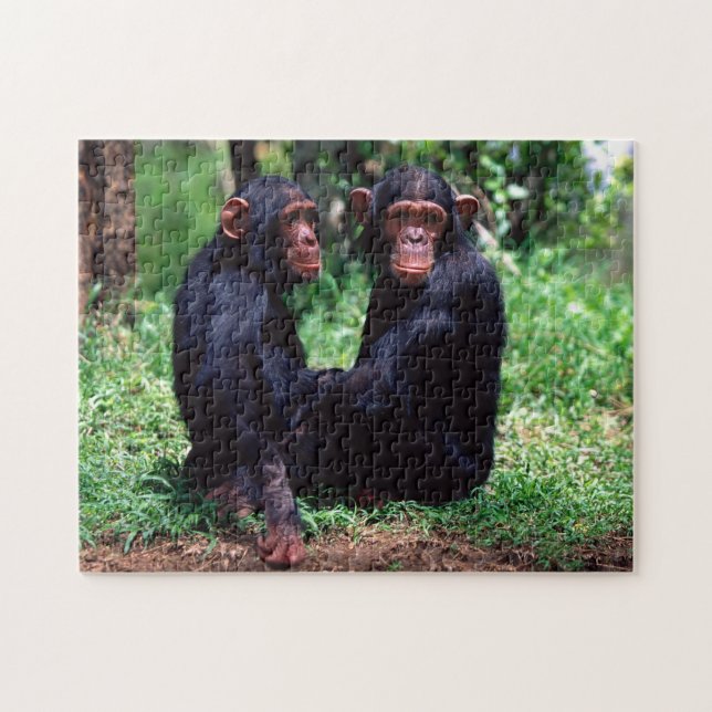 Cute Chimpanzee Syskon, Jigszawa Puzzle Pussel (Horisontell)