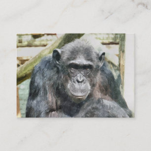 CUTE CHIMPANZEE VISITKORT