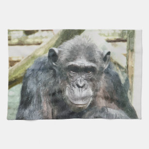 CUTE CHIMPANZEES KÖKSHANDDUK